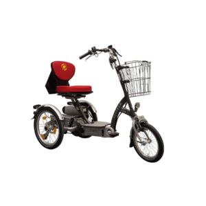 Van Raam Easy Go