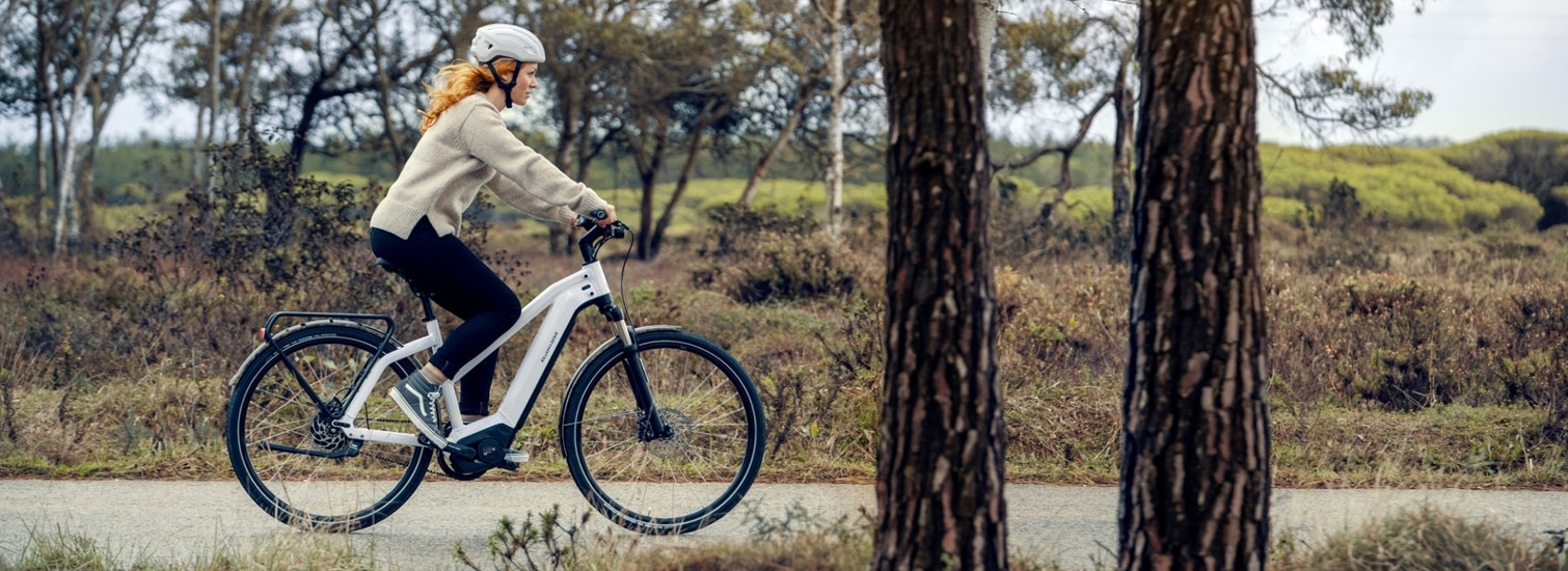 shopbild 7651 1ea6fb45 d75e 4342 9556 5b8a9188c699 1 Van Raam kaufen