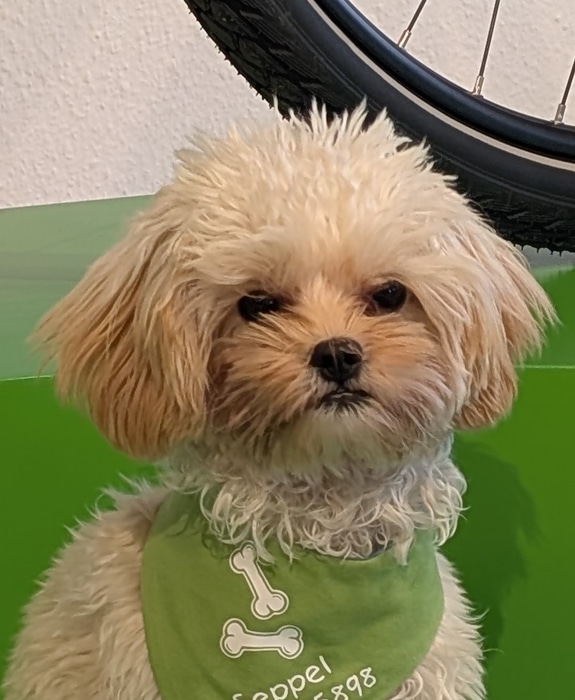 emotion mitarbeiter 1083 Leipzig-Mölkau