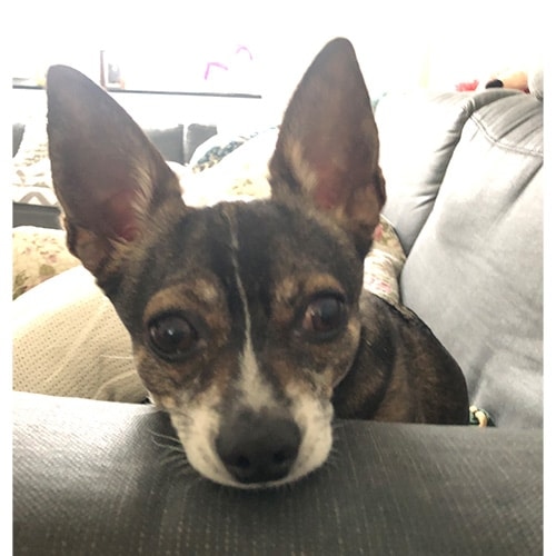 emotion mitarbeiter 259 Oberhausen