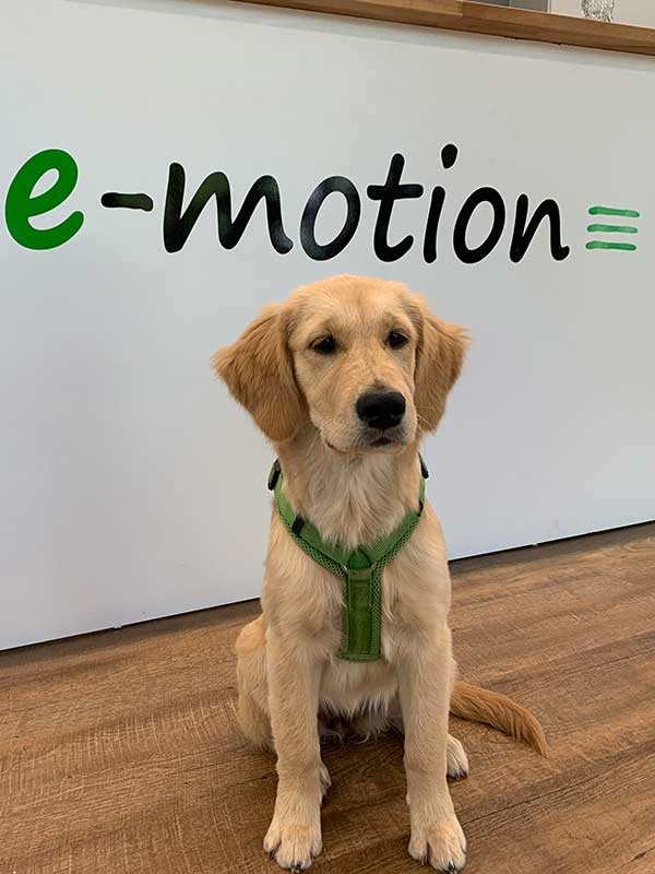 emotion mitarbeiter 371 Dreirad Fahrrad