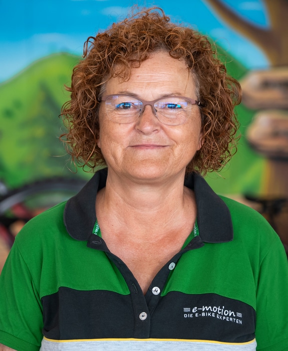 emotion mitarbeiter 621 Van Raam kaufen